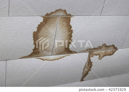 [Home remodeling] Ceiling stains 42371929