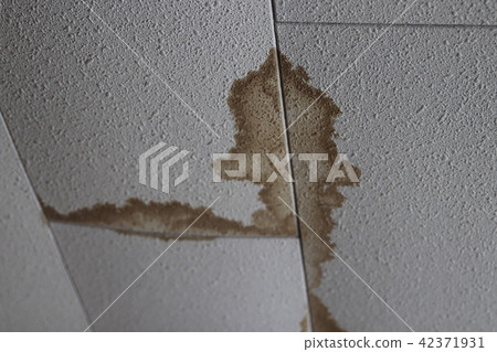 [Home remodeling] Ceiling stains 42371931