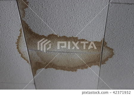 [家庭裝修]天花板污漬 42371932