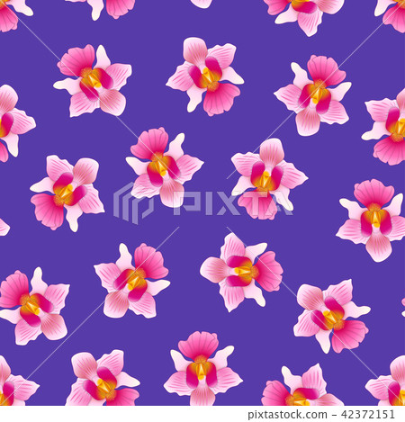 Pink Vanda Miss Joaquim Orchid Violet Background 42372151