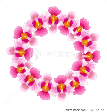 Pink Vanda Miss Joaquim Orchid Wreath Pink Vanda Miss Joaquim Orchid Wreath 42372154