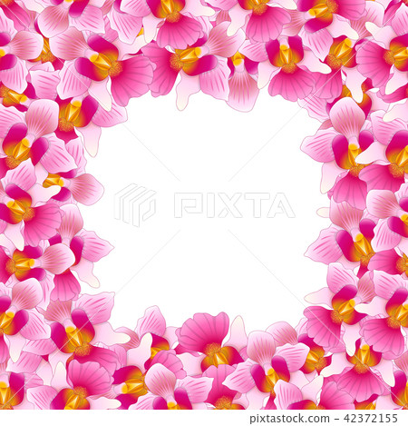 Pink Vanda Miss Joaquim Orchid Border. Pink Vanda Miss Joaquim Orchid Border. 42372155
