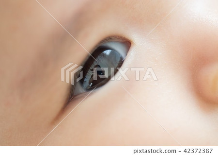  › bier (42372387)