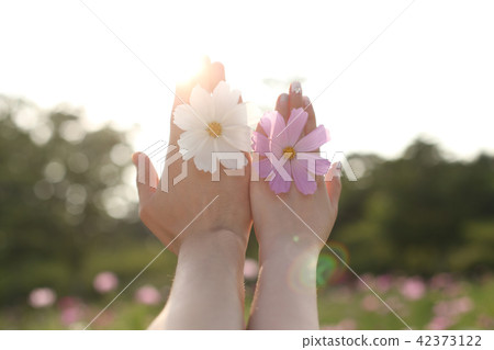 A female and a female playing flower A female and a female playing flower 42373122