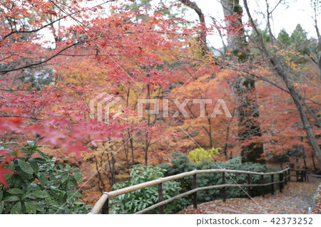 Kitano Tenman-kei Momijien 42373252