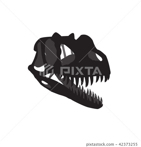 skull fossil Dinosaur skull fossil Dinosaur 42373255
