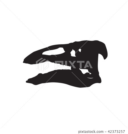 skull fossil Dinosaur 42373257