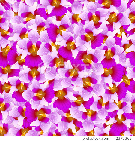 Purple Vanda Miss Joaquim Orchid Background Purple Vanda Miss Joaquim Orchid Background 42373363