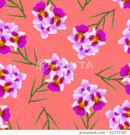 Purple Vanda Miss Joaquim Orchid on Red Background Purple Vanda Miss Joaquim Orchid on Red Background 42373365
