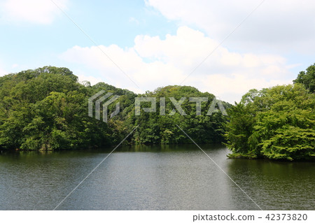 Osaka citizen's forest (Nukuike park) 42373820