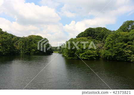 大阪市民的森林（Nukuike公園） 42373821
