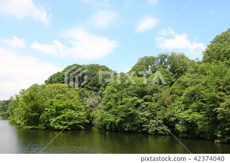 Osaka citizen's forest (Nukuike park) 42374040