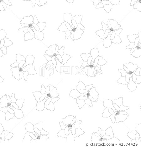 Vanda Miss Joaquim Orchid Outline White Background 42374429
