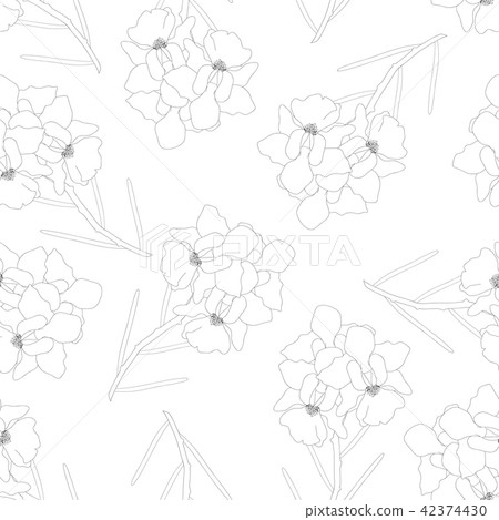 Vanda Miss Joaquim Orchid Flower White Background 42374430