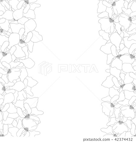Vanda Miss Joaquim Orchid Outline Border Vanda Miss Joaquim Orchid Outline Border 42374432