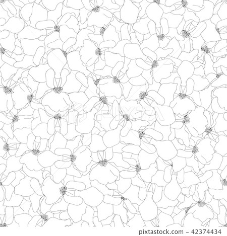 Vanda Miss Joaquim Orchid Outline Background Vanda Miss Joaquim Orchid Outline Background 42374434