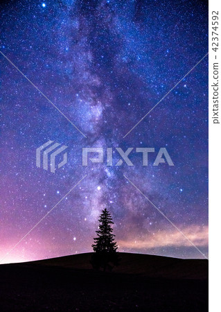 “北海道”美瑛·銀河系和聖誕樹 “北海道”美瑛·銀河系和聖誕樹 42374592