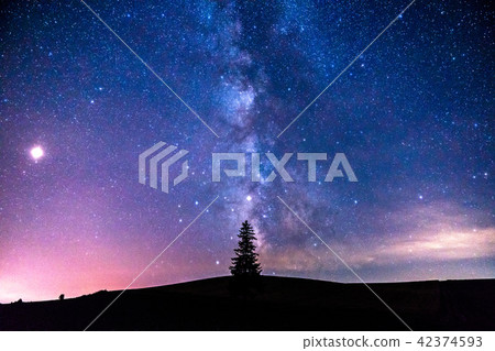 “北海道”美瑛·銀河系和聖誕樹 42374593