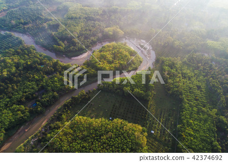 Deep rain forest mountain with river in morning 42374692