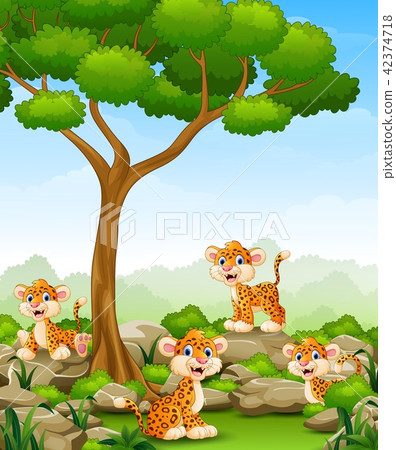 Cartoon leopard group in the jungle Cartoon leopard group in the jungle 42374718