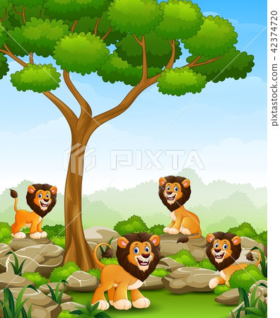 Cartoon lions group in the jungle 42374720