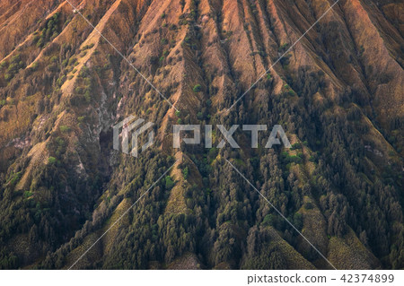 Bromo tengger semeru national park Bromo tengger semeru national park 42374899