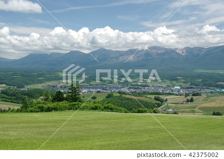 Waved wheat field with wind from Furano · Senpu Pass 42375002