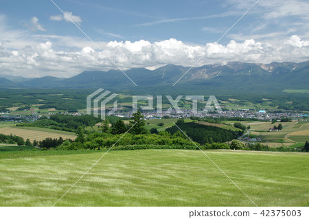 與風的揮動的麥田從富良野·Senpu通行證 42375003