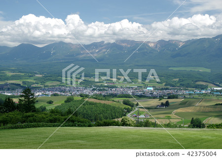 Waved wheat field with wind from Furano · Senpu Pass 42375004