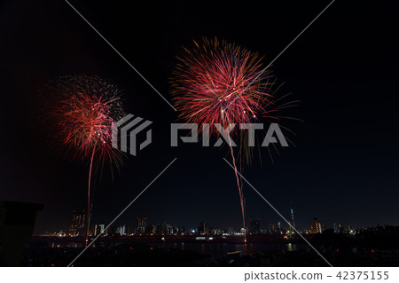 不定煙花煙花節 不定煙花煙花節 42375155