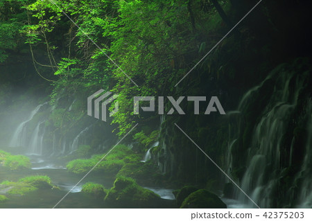 Summer former waterfall underwater water 42375203