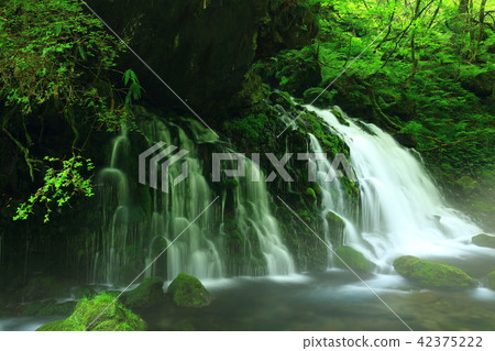 Summer former waterfall underwater water Summer former waterfall underwater water 42375222