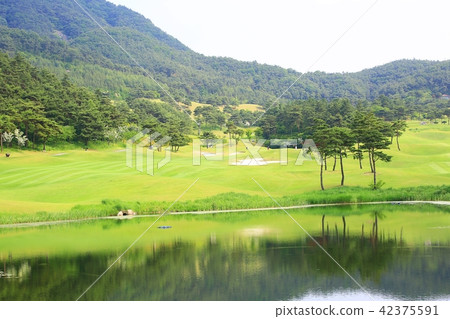 golf course golf course 42375591