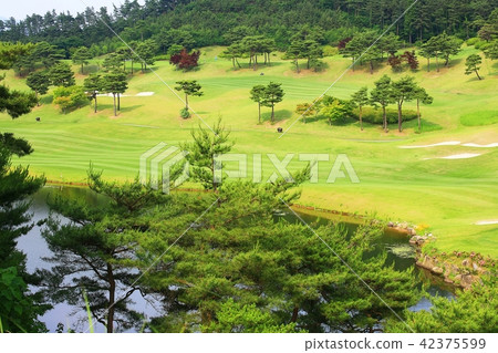 golf course golf course 42375599