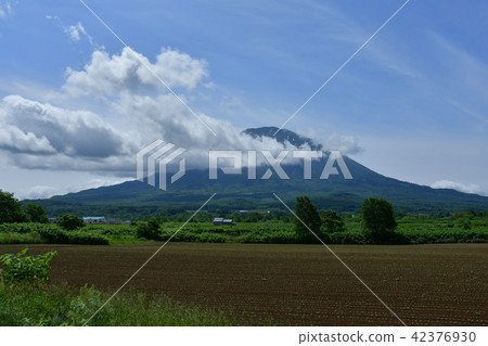 羊蹄山 42376930