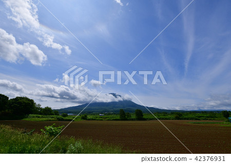 Yotei和Saiun雲 Yotei和Saiun雲 42376931