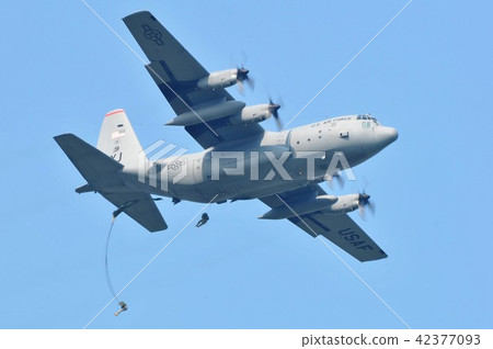 美國空軍的C-130運輸機訓練降落傘後裔 42377093