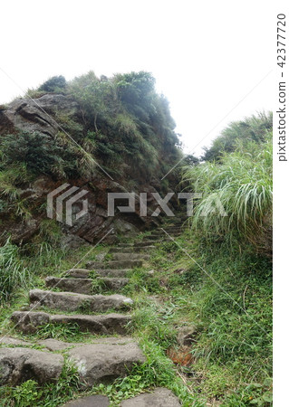 陽明山 七星山(10) 42377720