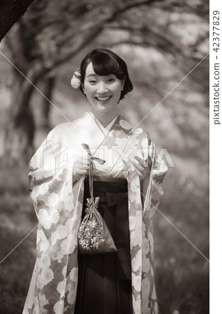 female, lady, woman 42377829