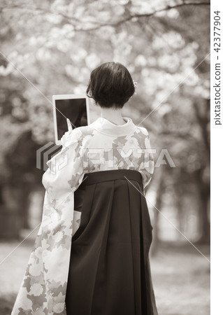 digital tablet, tablet, tablets 42377904