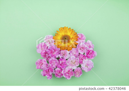 Flower flat lay 42378046