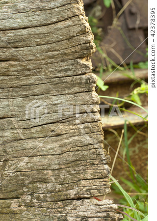 Texture of wood Texture of wood 42378395