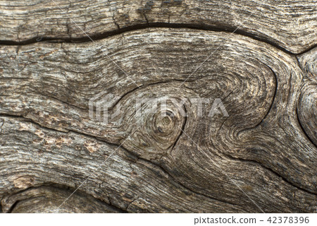 Texture on surface of old wood Texture on surface of old wood 42378396