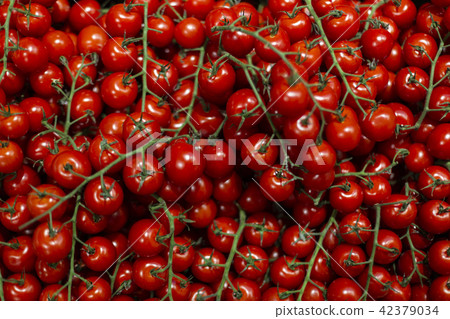 Cherry tomatoes background texture pattern Cherry tomatoes background texture pattern 42379034