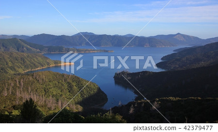Endeavour Inlet, bay in the Marlborough Sounds. Endeavour Inlet, bay in the Marlborough Sounds. 42379477