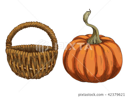Vector illustration with pumpkin and wicker basket Vector illustration with pumpkin and wicker basket 42379621