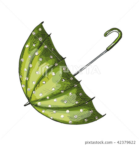 Green umbrella isolated on white background. 42379622