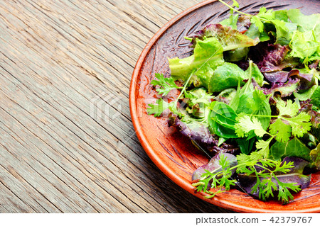 Green vegan salad Green vegan salad 42379767