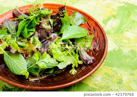Healthy green salad Healthy green salad 42379768