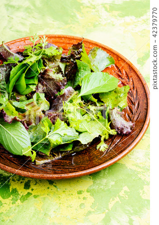 Green vegan salad Green vegan salad 42379770